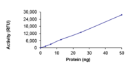 Formulation
